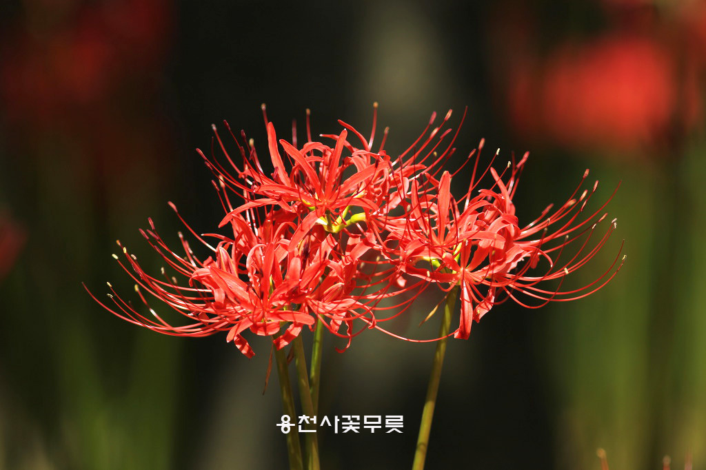 아름다운상사 이미지