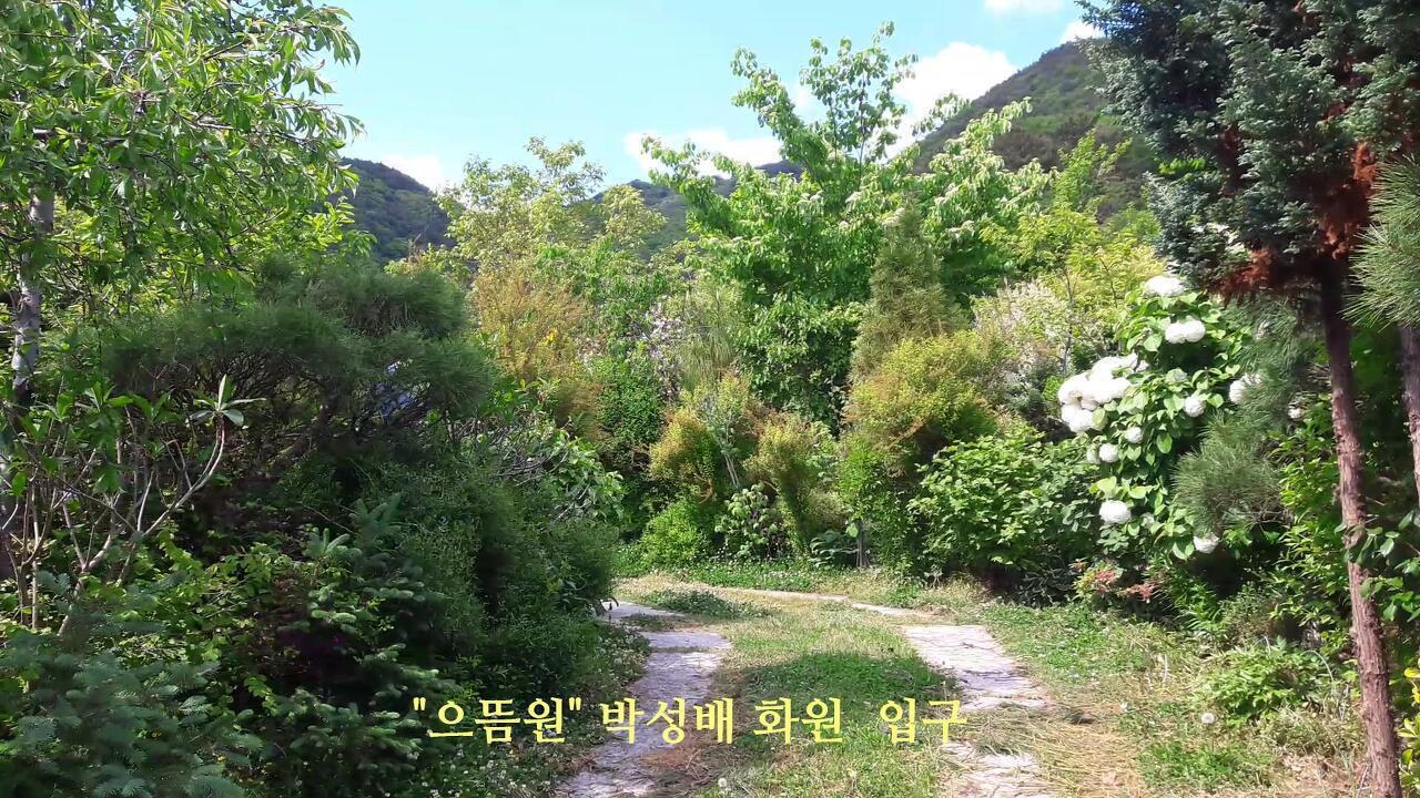 으뜸화원 이미지