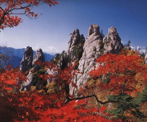 ff 이미지