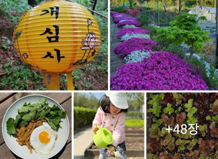 대박식품 이미지