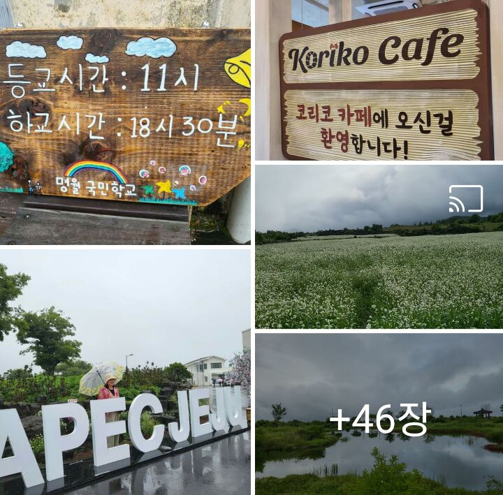 정원식품 이미지