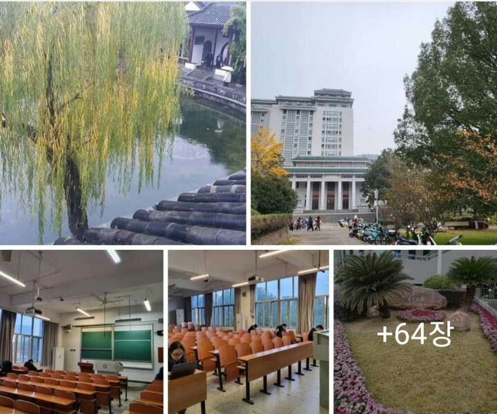 강연식품 이미지