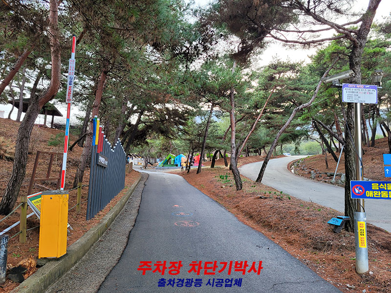 산골산내음 이미지