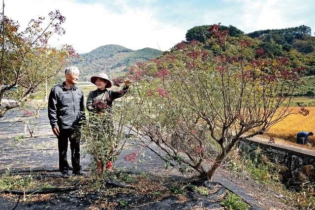 하동산초농장 이미지