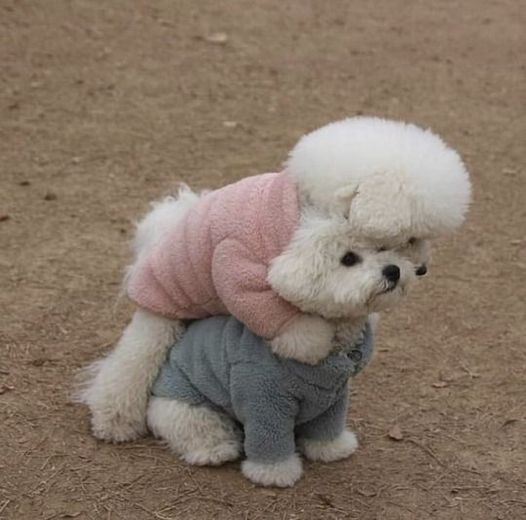 어부바 이미지