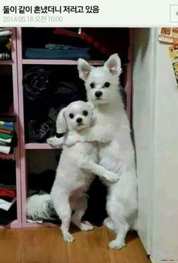 같이 이미지