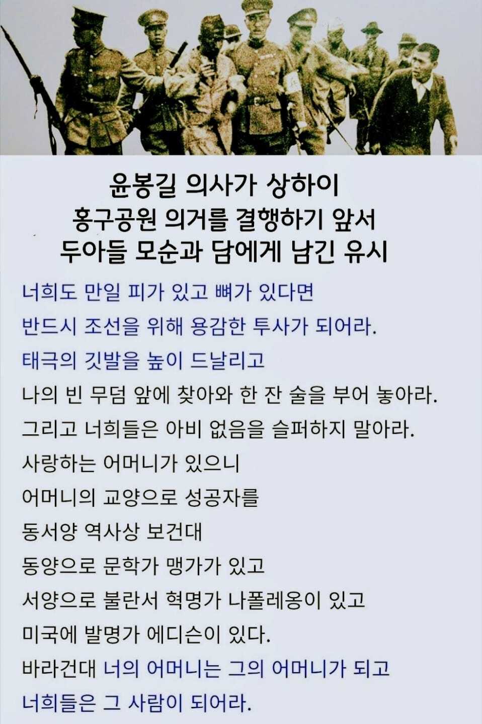 유시 이미지