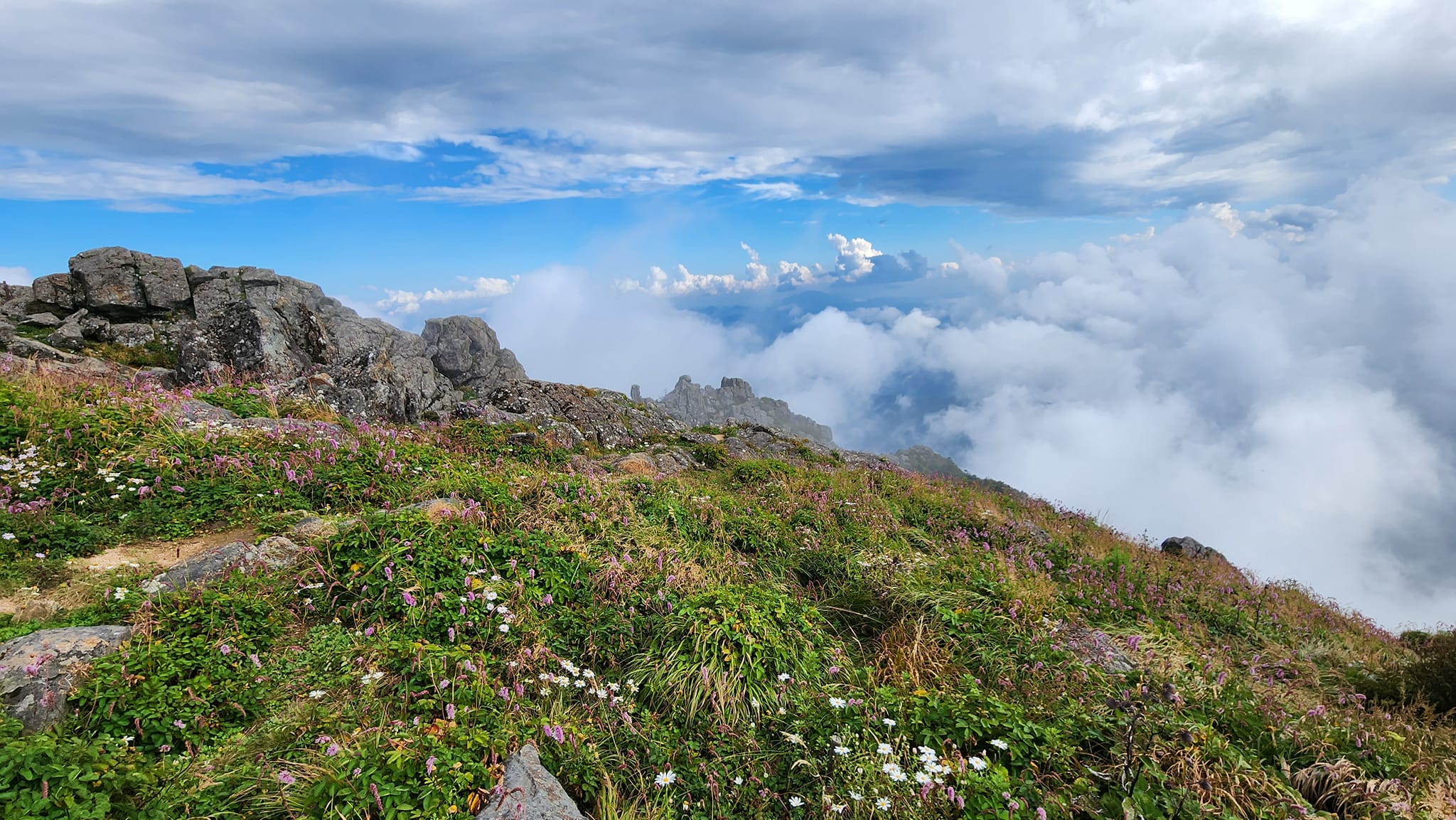 지리산밧데리 이미지