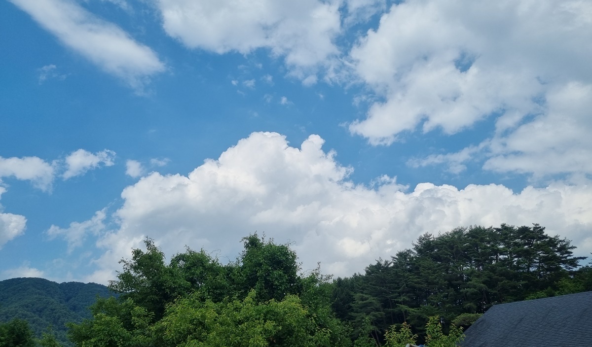 파람 이미지