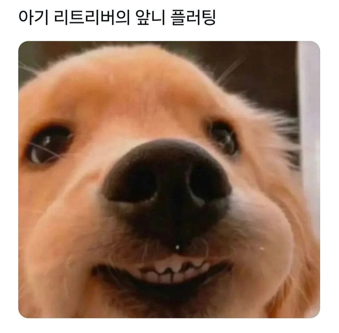 심쿵 이미지