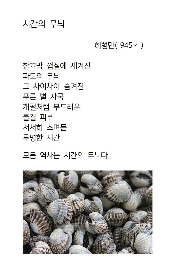 시간무늬 이미지
