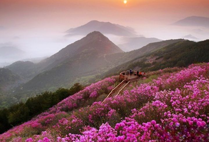 목향마트 이미지