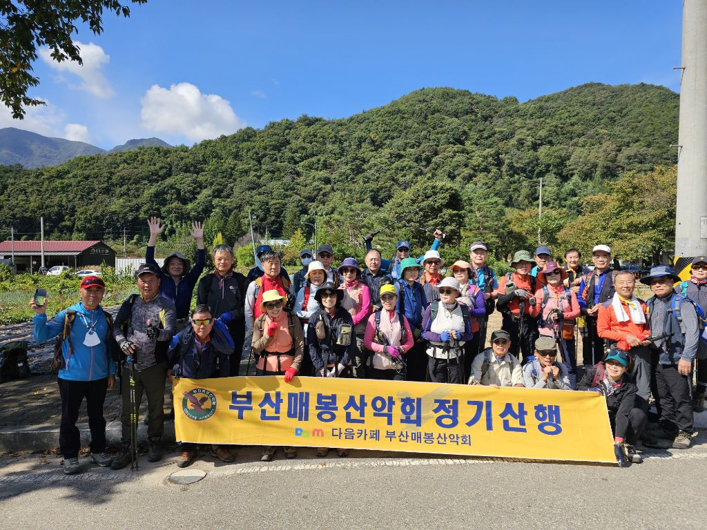 매봉 이미지