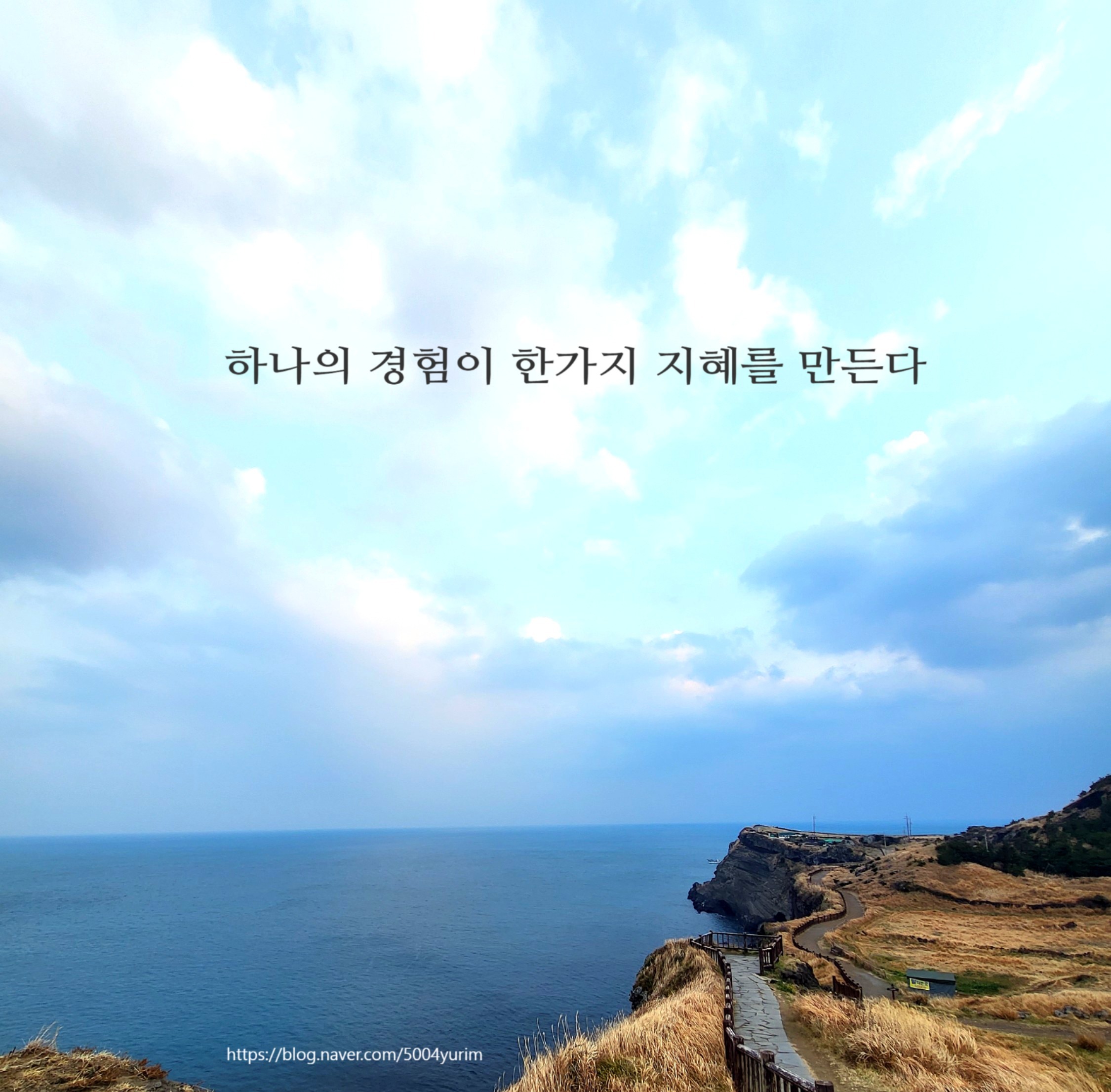 지혜 이미지