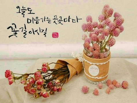 꽃들에게 이미지