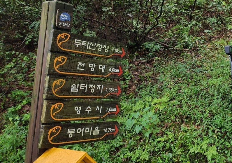 미르코스 이미지