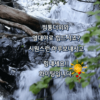 카페 프로필 이미지