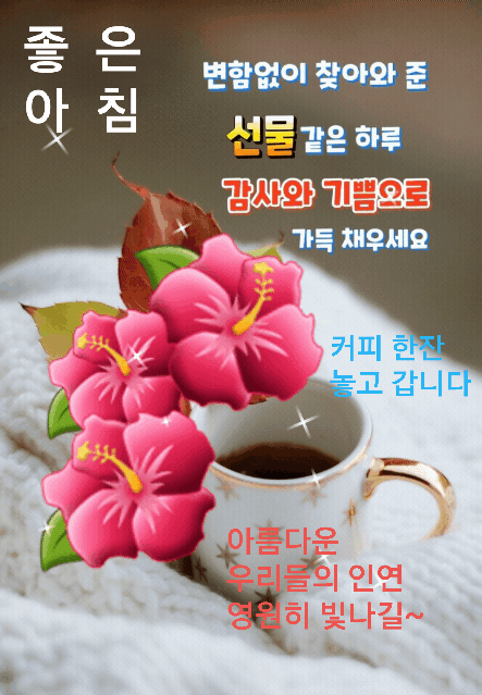 카페 프로필 이미지