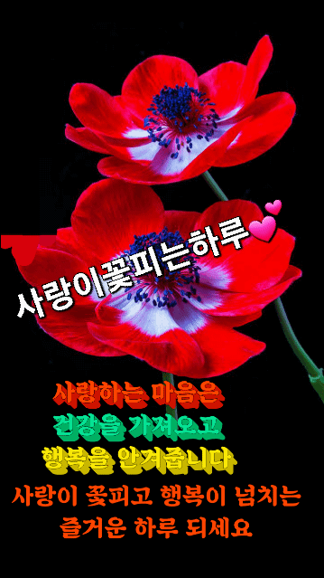 카페 프로필 이미지