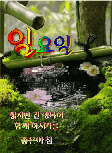 카페 프로필 이미지