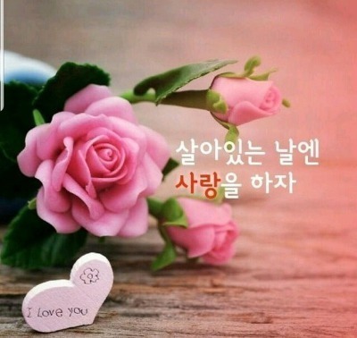 가는 길 멈추고 이미지