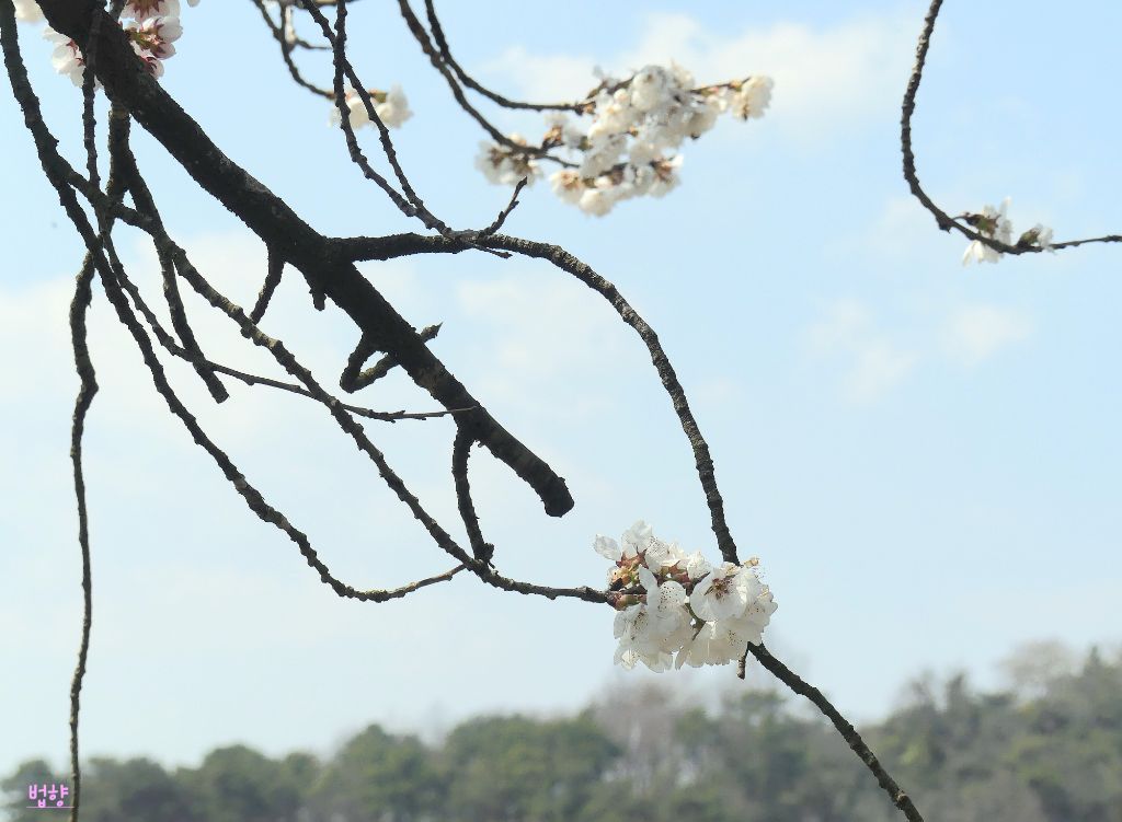 나산 이미지
