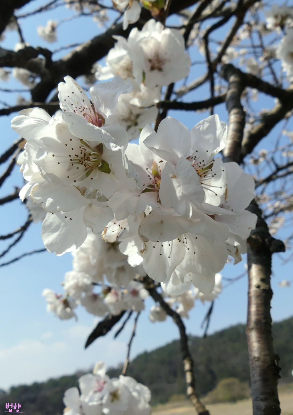 나산 이미지