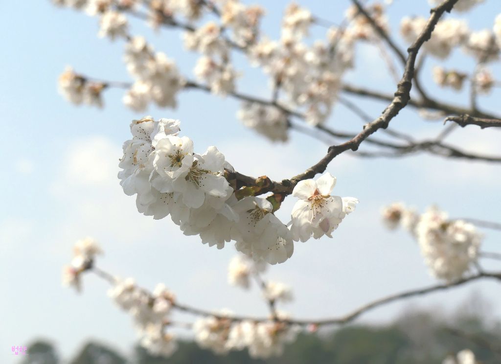 나산 이미지