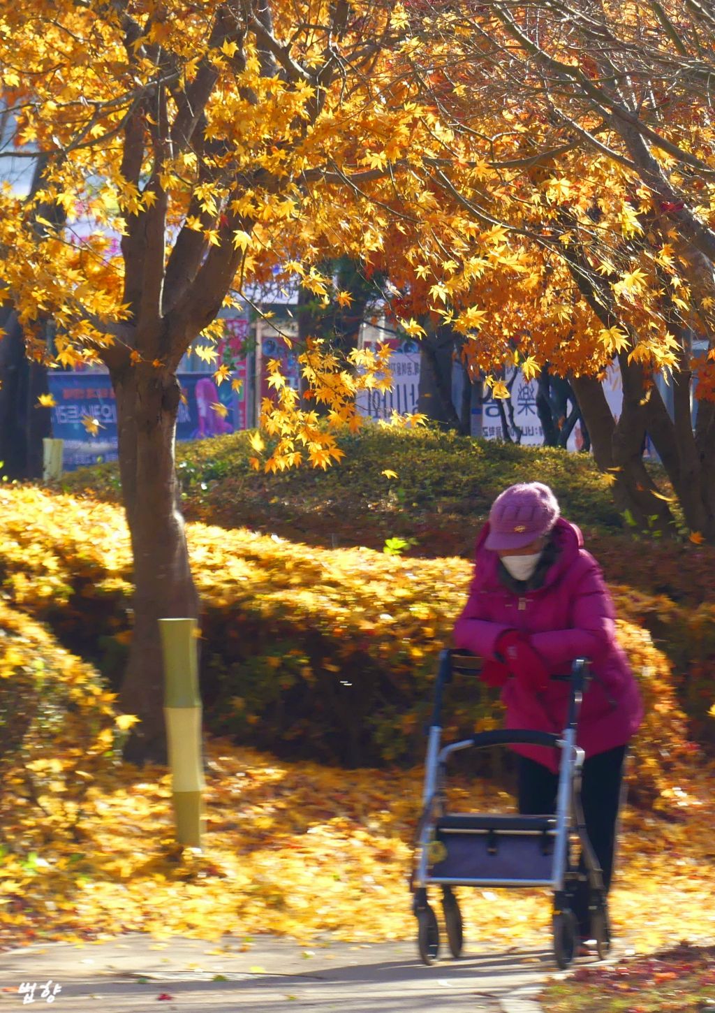 가을 이미지