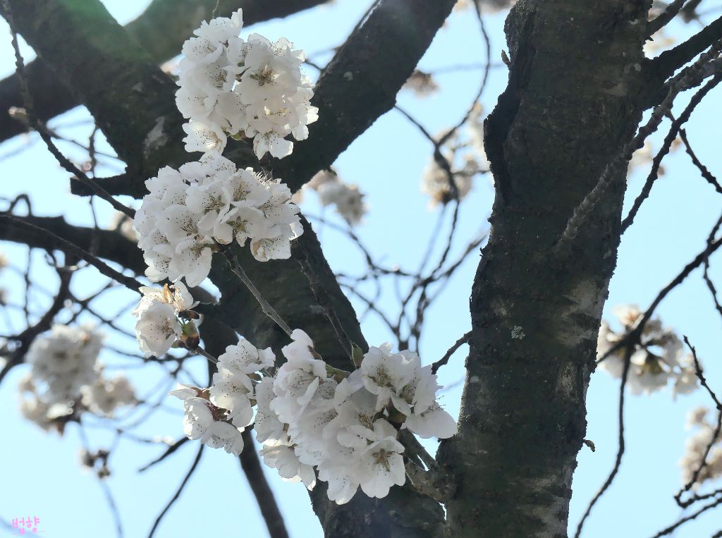 나산 이미지