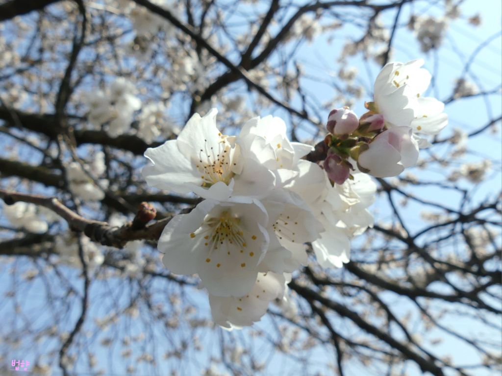 나산 이미지