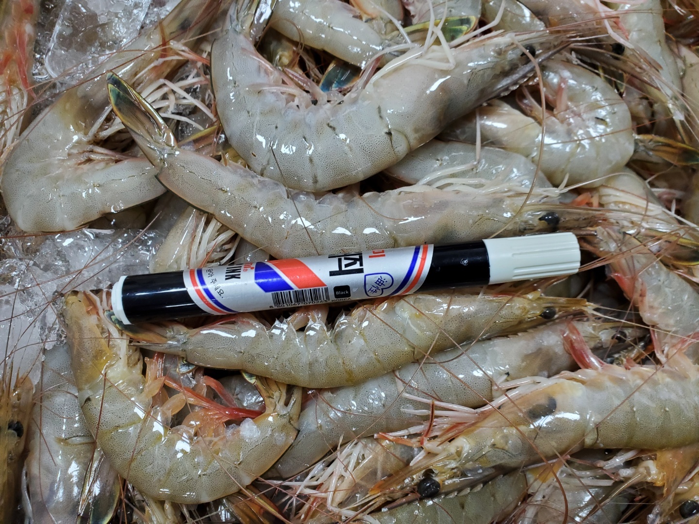 진도각 이미지
