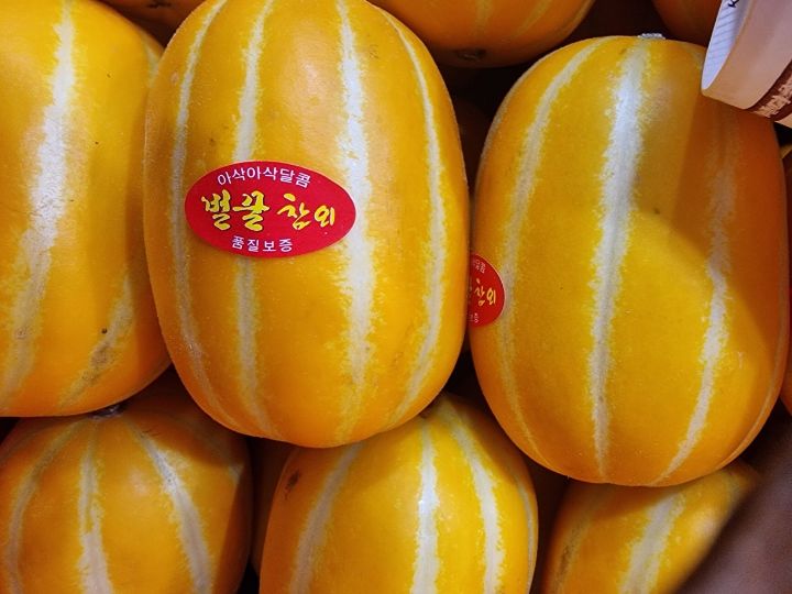 오늘은과일 이미지
