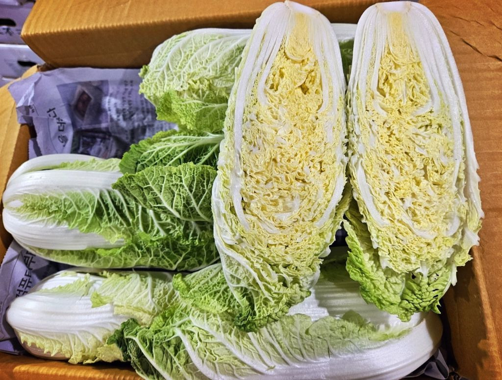 알배기 이미지