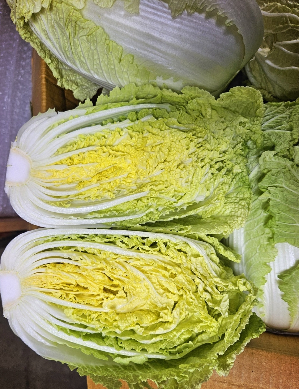 알배기 이미지