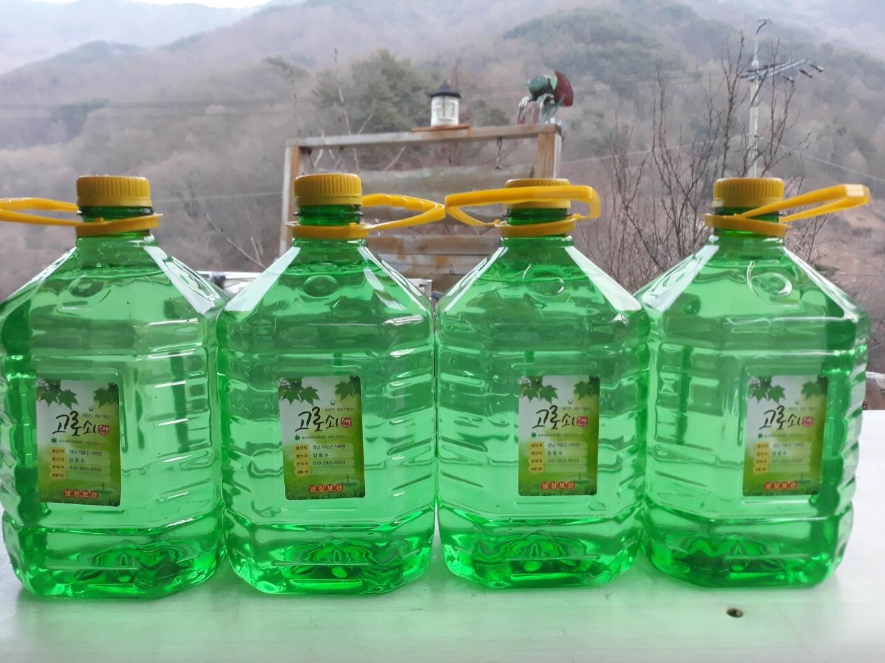 고로쇠 이미지