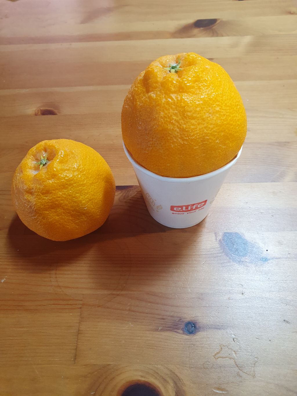 가온하우스 이미지