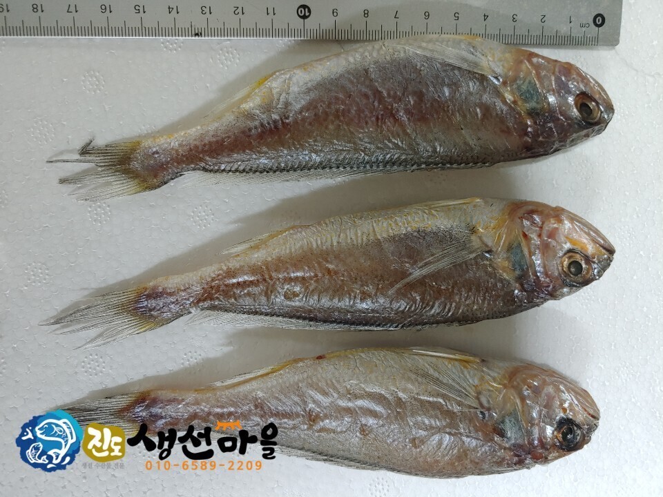 참조기집 이미지