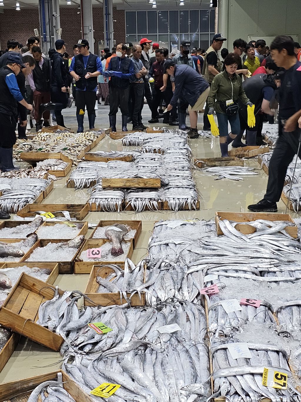 목포수산물 이미지
