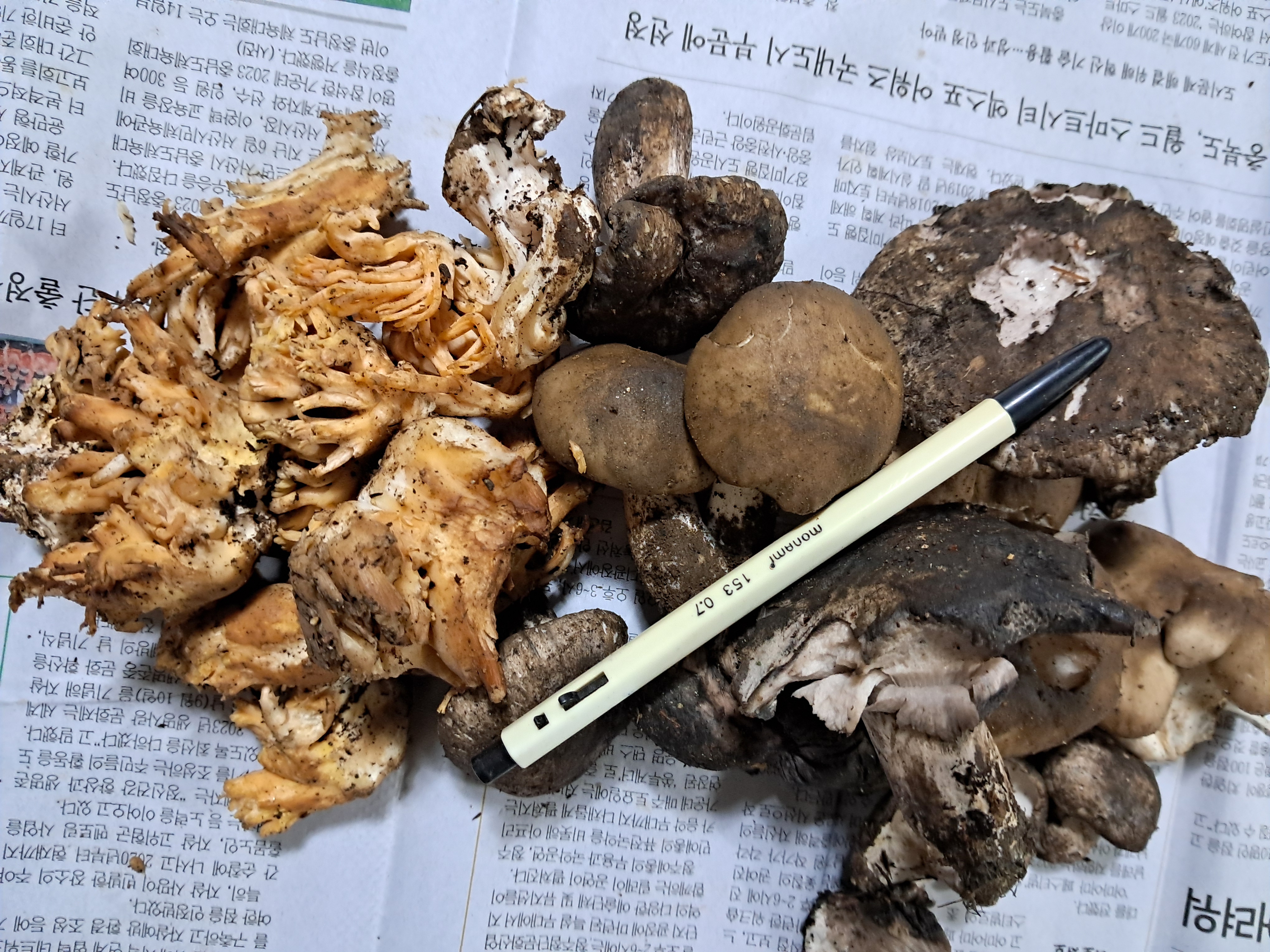 송이토탈 이미지