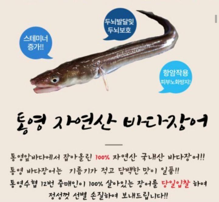미친장어 이미지