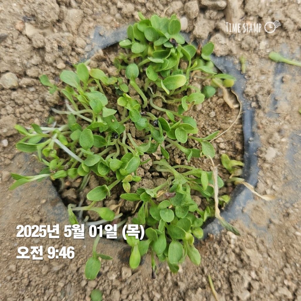 예당슈퍼 이미지