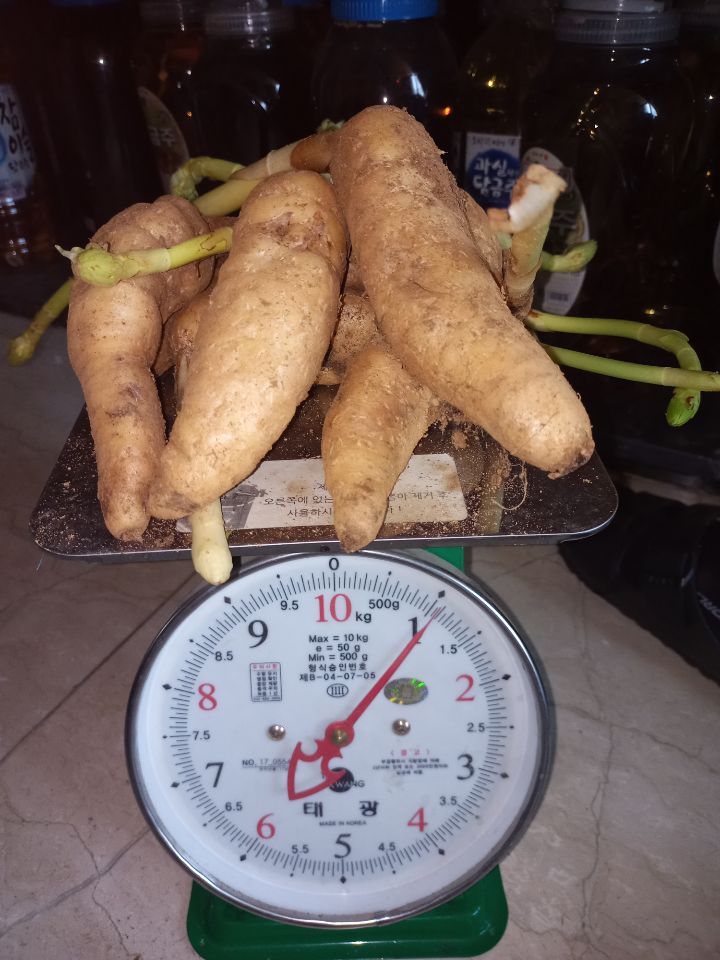 천마통신 이미지