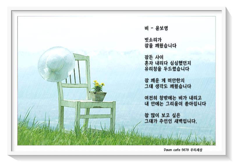 daum