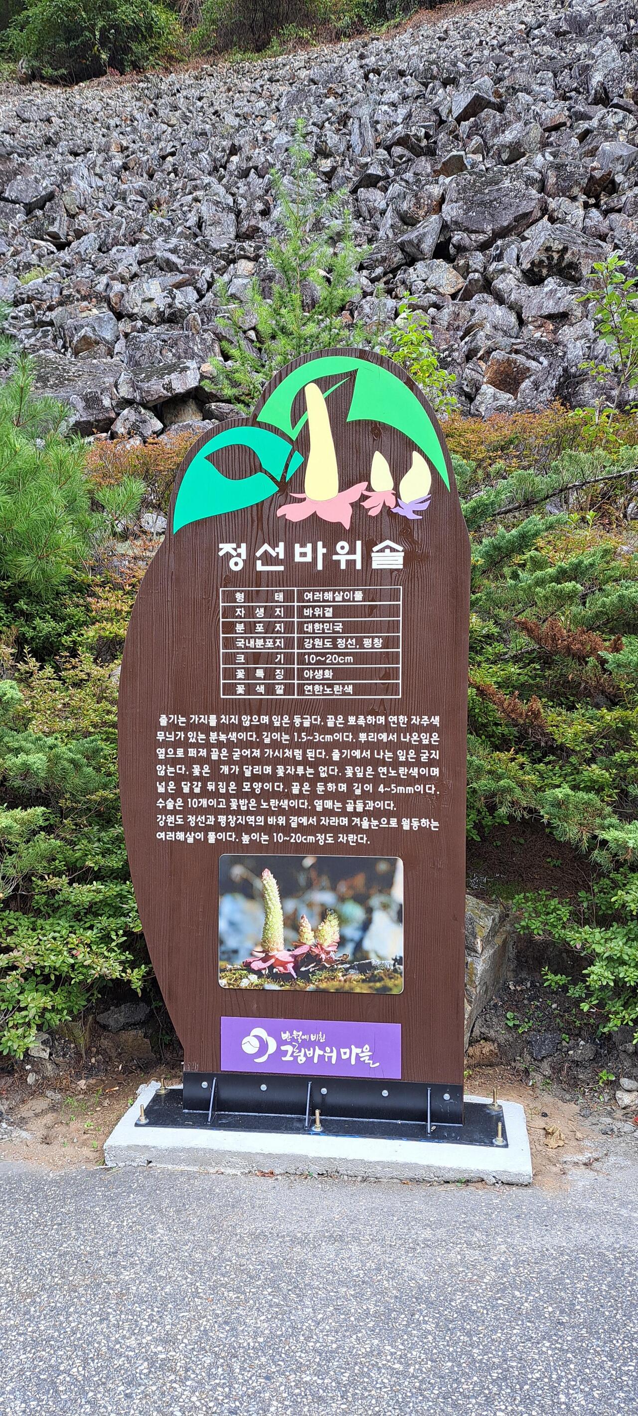 표주 이미지