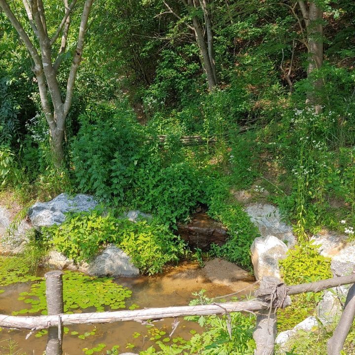 금산식당 이미지