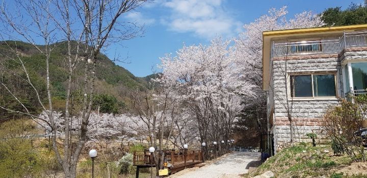 금산식당 이미지