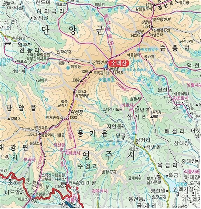 어린왕자주유소 이미지