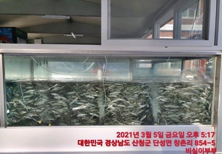 구만횟집 이미지