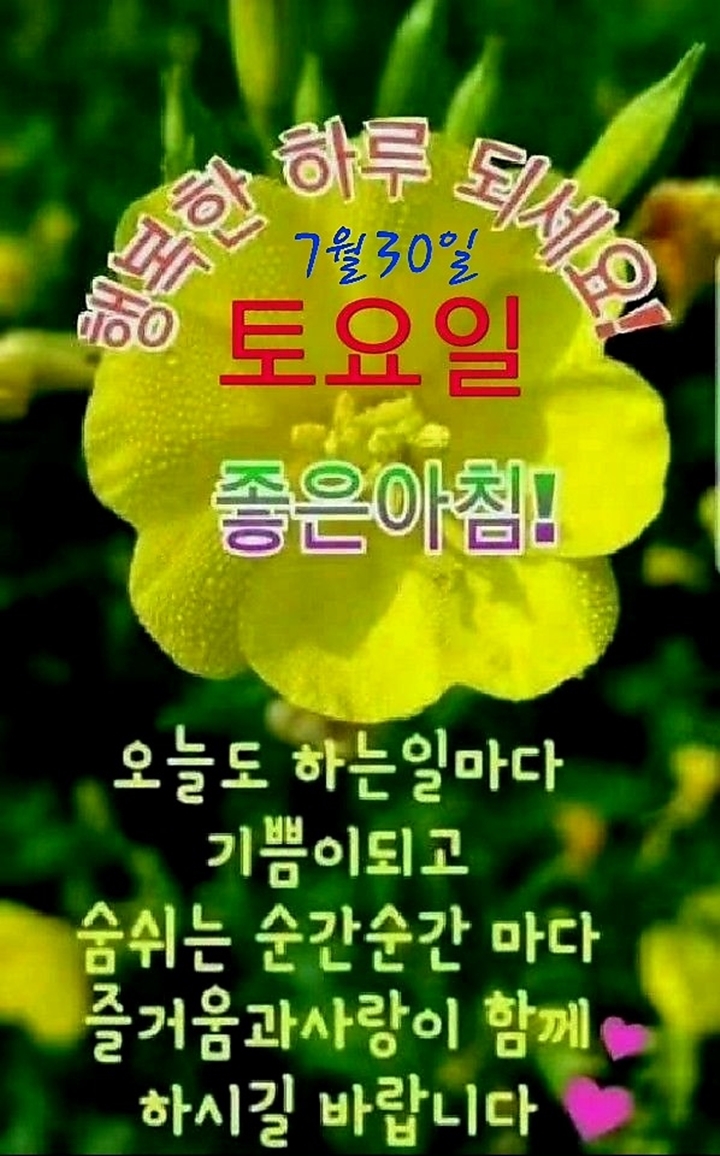 용수골전망대 이미지